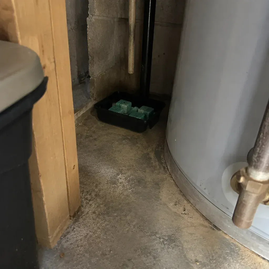 Healthcare Rodent Control for Kenosha Medical Sites